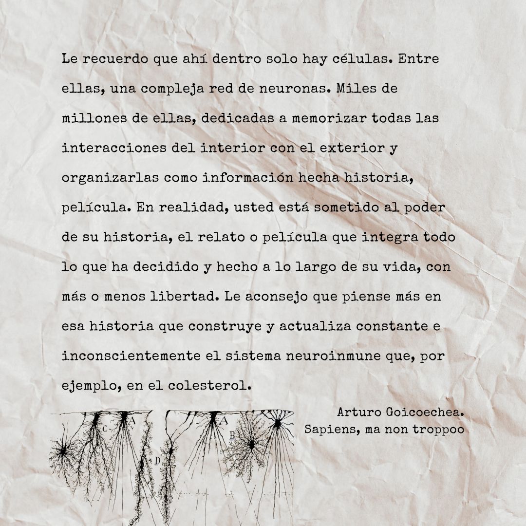 Frase de Arturo Goicochea sobre nuestras historias.