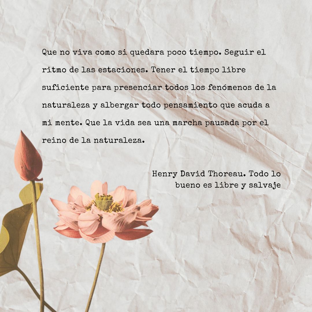 Frase de Henry David Thoreau sobre la naturaleza.